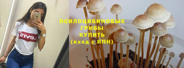 apvp Алексеевка