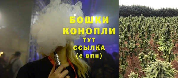 PSILOCYBIN Алексин